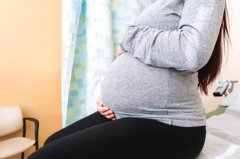 孕期亲子鉴定大概多少钱,需要哪些手续 怀孕初期可以亲子鉴定