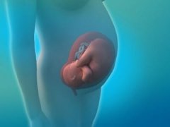 孕妇该如何为腹中的胎儿进行亲子鉴定多少钱-dna无创亲子鉴定